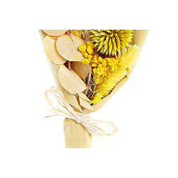 Branche DKD Home Decor Beige Jaune Fleur séchée (10 x 5 x 18 cm) (2 Unités)