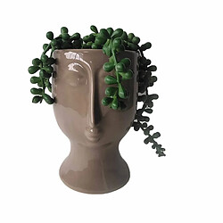 Plante décorative DKD Home Decor