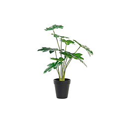 Plante décorative DKD Home Decor