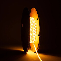 Avis Ledkia Ruban LED dimmable 220V IP65