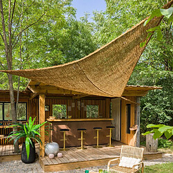 JardiLINE Voile d'ombrage triangulaire en fibre de coco 3.50 m.