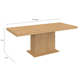 Idmarket TAM RECTANGLE EXT JULIETTE 160 pas cher