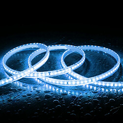 Avis Ledkia Ruban LED 220V dimmable IP65