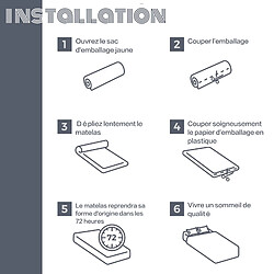 Sinlikon Matelas 90x190 cm Mousse pas cher