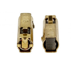 Bosch Charbons moteur pour aspirateur traîneau