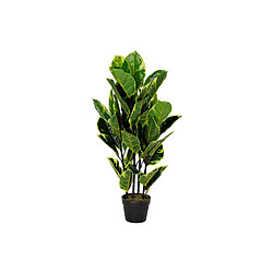 Plante décorative DKD Home Decor Polyéthylène Urbaine 40 x 40 x 90 cm