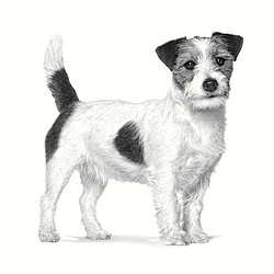 Acheter Nourriture Royal Canin