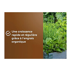 Acheter Terreau potager & Plantes aromatiques - OR BRUN - OBRTARO6U - 6L - Croissance rapide