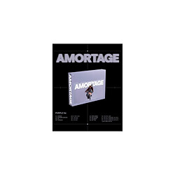 Import AMORTAGE