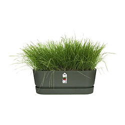 Acheter Elho Jardinière ovale - Vert
