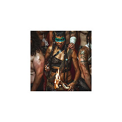 Tot Ou Tard Shaka Ponk Édition Deluxe