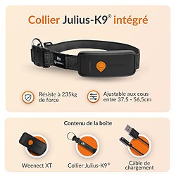 Weenect XT Dogs Black JK9 Collar pas cher