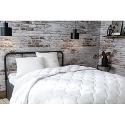 Avis Abeil Douceur Absolue - 200 x 200