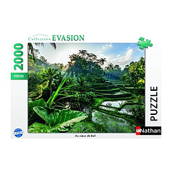Puzzle adulte
