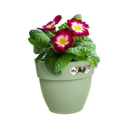 Avis ELHO Pot de fleurs balcon Vibia Campana Easy Hanger Small - 24,1 x 20,5 x H26,5 cm - Vert Pistache - Balcon extérieur