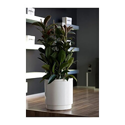 PLASTIKEN Pot de fleurs a reserve deau Hidrojardinera - O22 cm - Gris anthracite