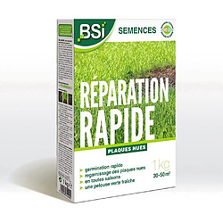BSI - Semences De Gazon - Réparation Rapide - Avec Enrobage Protecteur - Tres Haute Qualité - Jusqu'a 50m² - 1Kg