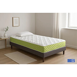 DAGOSTINO HOME Matelas Mousse 90x190 Evergreen - Ferme - Réversible - Côté Été/hiver - H15 Cm