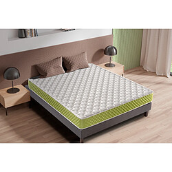 DAGOSTINO HOME Matelas Mousse 140x190 Evergreen - Ferme - Réversible - Côté Été/hiver - H15 Cm