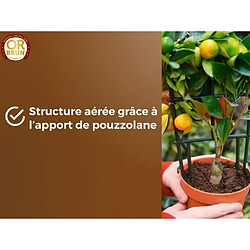 Acheter Terreau d'empotage OR BRUN 6 L Agrumes
