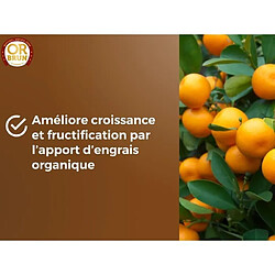 Terreau d'empotage OR BRUN 6 L Agrumes pas cher
