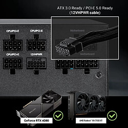 Acheter BITFENIX BFG GOLD 850W (80+ Gold) ATX 3.0 - Alimentation PC - 850W
