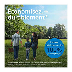 Acheter Lampe de Jardin Philips Noire E27 Extérieure