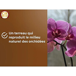 Acheter Terreau pour orchidées - OR BRUN - OBRTORC6U - 6L - Favorise la croissance