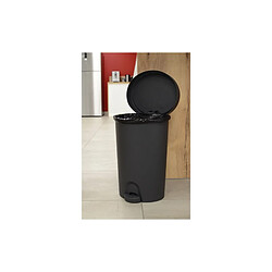 EDA Plastiques POUBELLE A PEDALE STEPY 27L ANTHRACITE EDA - 10630 G.ANT CX4