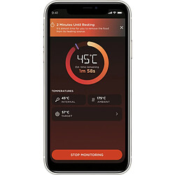 Avis Ninja sonde de cuisson connectée pour four