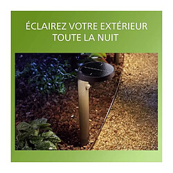 Avis Lampe de Jardin Philips Noire E27 Extérieure