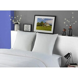 Avis DODO Lot de 2 Oreillers MERIBEL Plumettes 60x60cm
