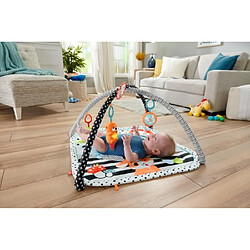 Avis Fisher Price Tapis d’éveil bébé multicolore