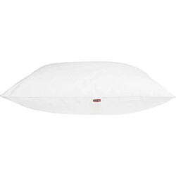 DODO Lot de 2 Oreillers MERIBEL Plumettes 60x60cm pas cher