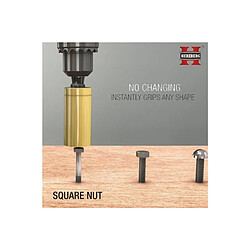 Dominique Thévenin : sculpteur du mouvement