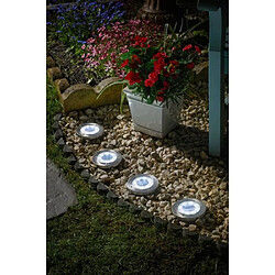 Acheter Smart Garden Projecteurs de jardin solaires intelligents - Aluminium noir (4 unités)
