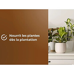 Acheter OR BRUN Terreau universel - MARRON DORÉ - OBRTREM6U - 6L - Favorise la croissance