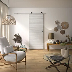 Kit Porte Coulissante - OPTIMUM - BILBAO2 + RAAP ACBR - H 204 x 83 x 3,6 cm, Acier brossé, Installation rapide