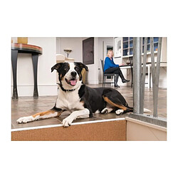 PetSafe Collier supplémentaire pour Systemes d'aide a l'éducation 300-600-900 m