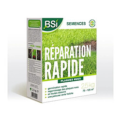 BSI Entretien Du Jardin