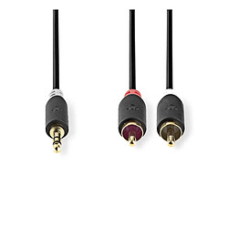 Nedis Câble Audio Jack 3.5mm Mâle vers Double RCA Mâle 10m Gris anthracite
