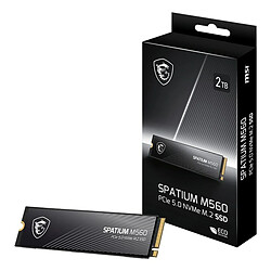 Msi Spatium M560 2To M.2 2280 pas cher