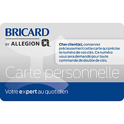 Bricard Cylindre de serrure 2 entrées - Noir