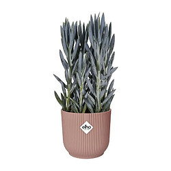 Acheter ELHO Pot De Fleurs Rond VIBES - Plastique - Ø22 - Rose poudré