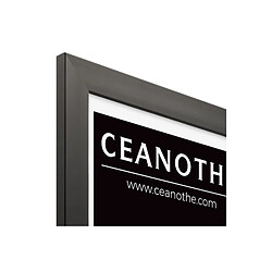 Acheter Cadre Ceanothe CADRE 40X50 ETERNEL NOIR