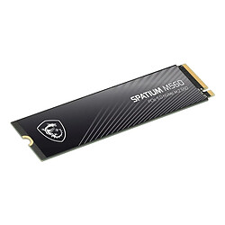 Avis Msi Spatium M560 2To M.2 2280