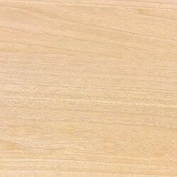 BONDEX Vernis 2 en 1 Brillant Résistance Extreme - Incolore