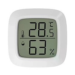 Thermomètre hygromètre LCD - Mini - Gris