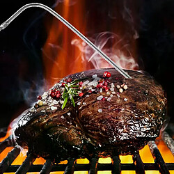 Sonde de thermomètre hybride pour Thermopro