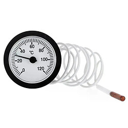 Jauge de température capillaire 0-120°C